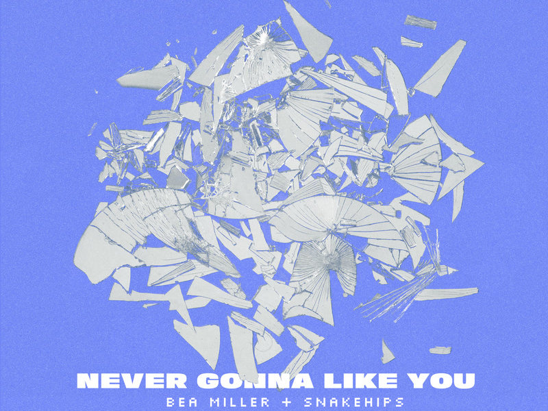NEVER GONNA LIKE YOU (Single)