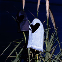 EL TEU AMOR (Single)