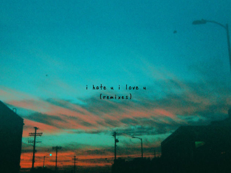 I Hate U, I Love U (Remixes)