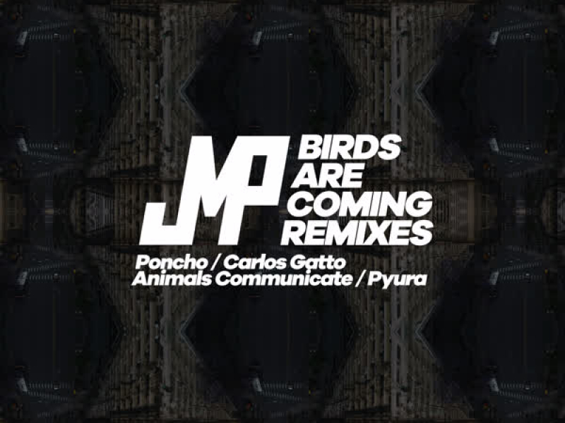 Birds Are Coming - Remixes