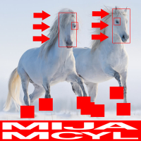 Never Let U Go (Single)