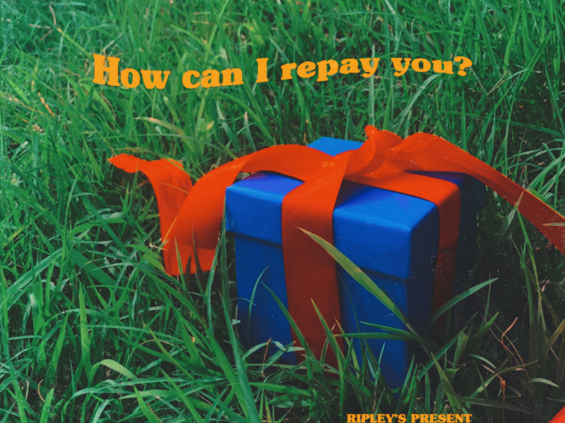 How can I repay you?