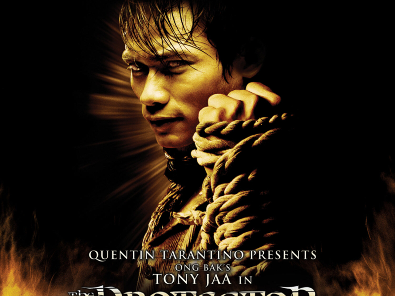 The Protector (Orignial Motion Picture Soundtrack- Music By The Rza)