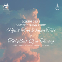 Người Tính Duyên Trời x Tự Mình Quá Thương (Huy PT x LMinn Remix) (Single)
