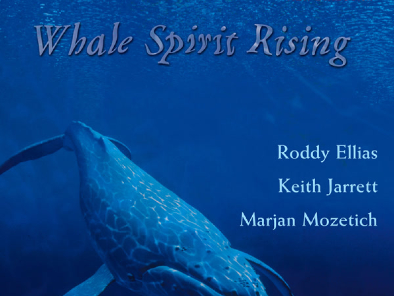 Whale Spirit Rising