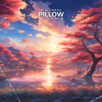 Pillow (Single)
