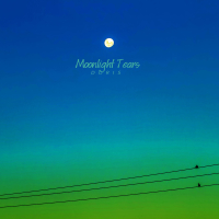 Moonlight Tears (Single)