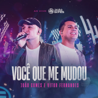 Você que Me Mudou (Ao Vivo) (Single)