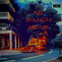 Ne Shukay Mene (Single)