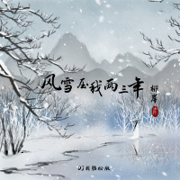 风雪压我两三年 (DJ刘雅松版) (Single)