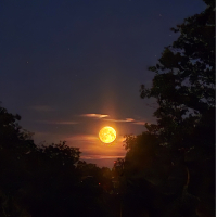 Wiosenna noc (Single)