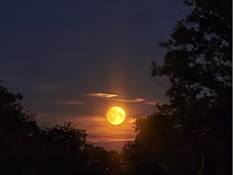 Wiosenna noc (Single)