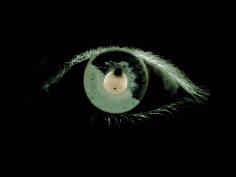 Medo de Mim (Chediak Remix) (Single)