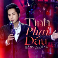 Tình Phai Dấu (Beat) (Single)