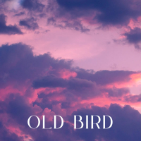 Old Bird (Single)