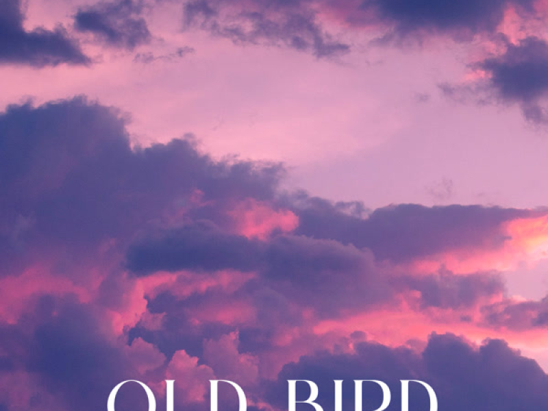 Old Bird (Single)