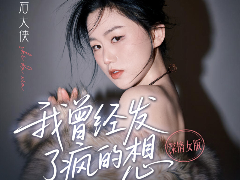 我曾经发了疯的想 (深情女版) (Single)