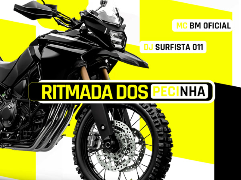 RITMADA DOS PECINHA (Single)