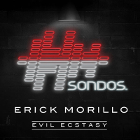 Evil Ecstasy (Single)