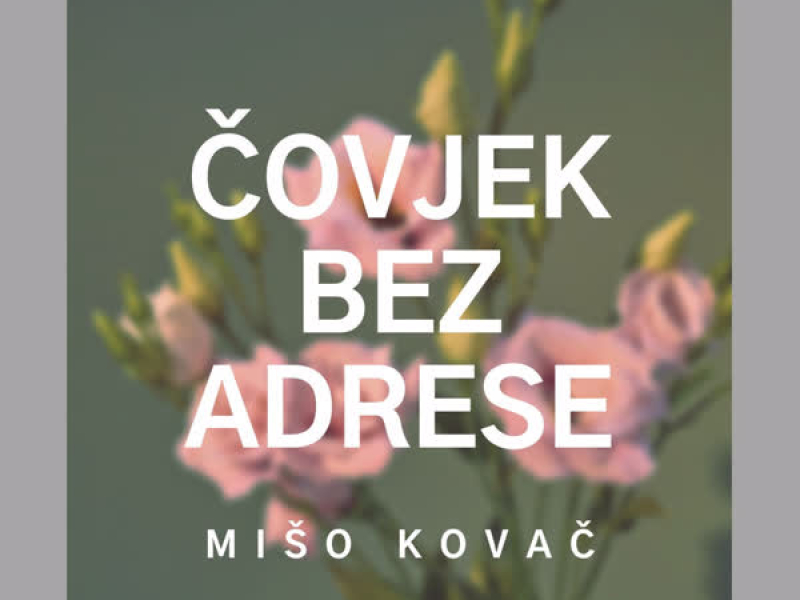 Čovjek Bez Adrese