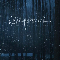 说陪我看雪的你 (Single)