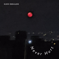 Never Hurt (Single)