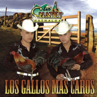 Los Gallos Más Caros