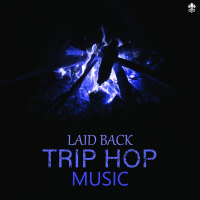 Laid Back Trip Hop Music (Single)