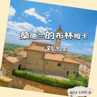 桑德兰的布林姆卡 (Single)