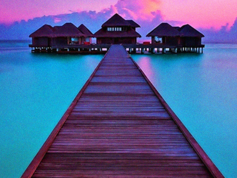 University of Love (Single)