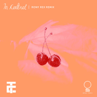 In Control (Rony Rex Remix) (Single)