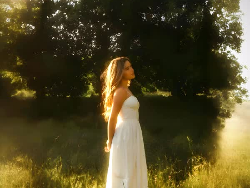 The Fate of Ophelia (Sped Up) (Single)