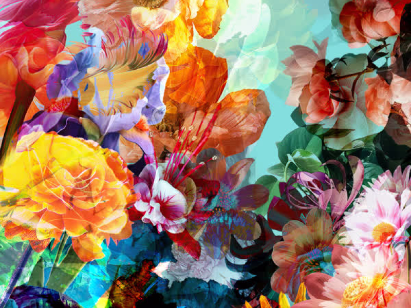 We've Got That (Single)