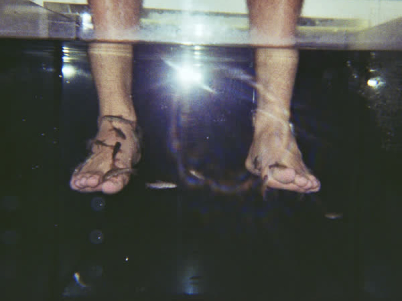 q fas avui? (Single)