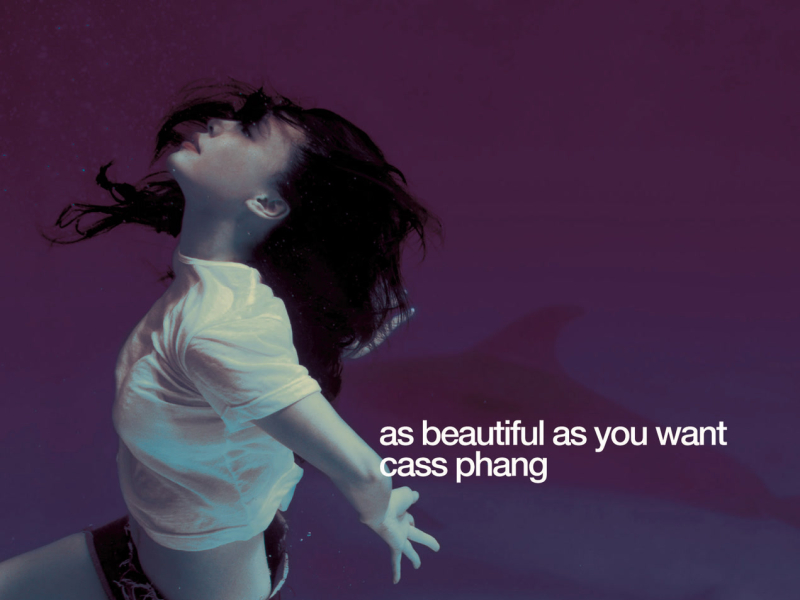 As Beauty As You Want