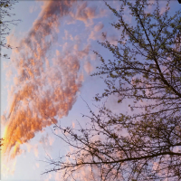 Ascend Without Limit (Single)