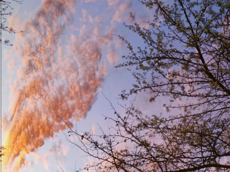 Ascend Without Limit (Single)