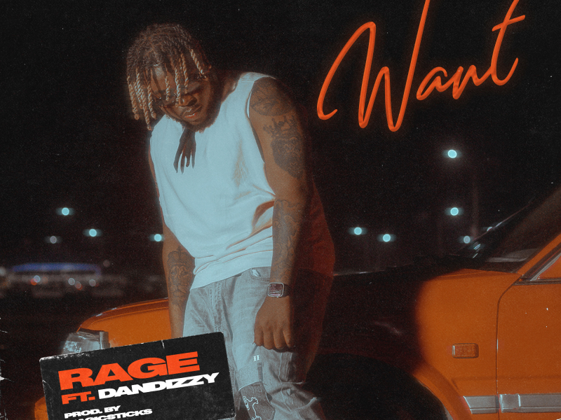 Want (feat. DanDizzy)