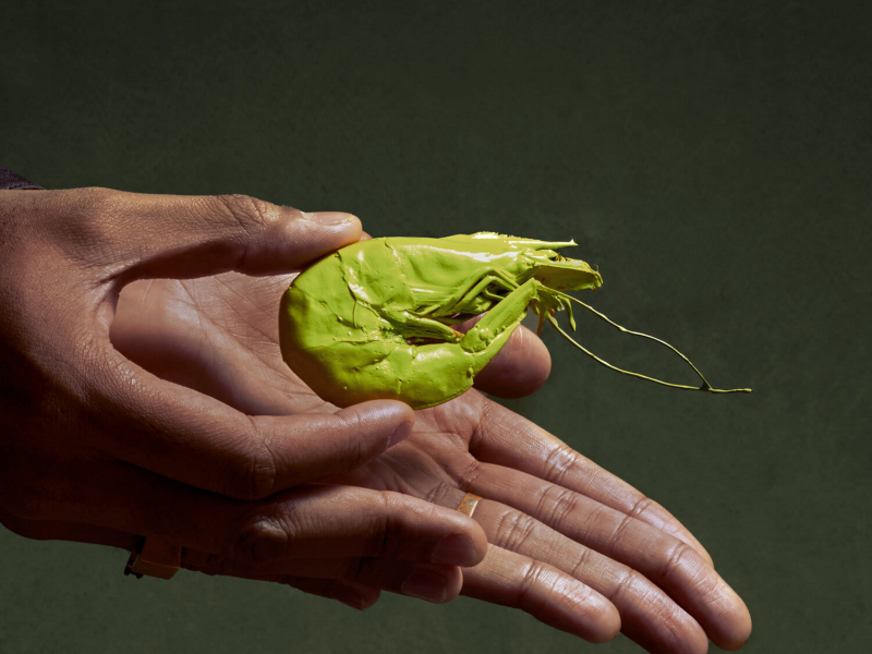 Eu, Camarão e Ela (EP)