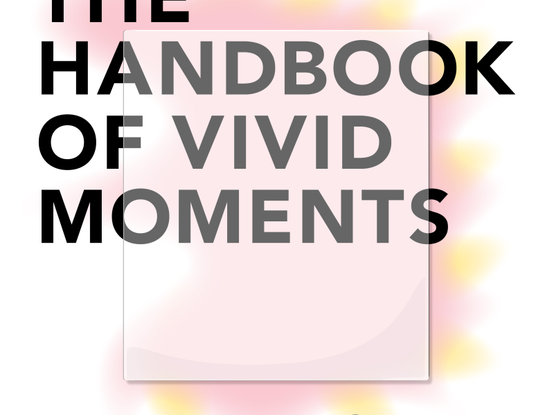 The Handbook of Vivid Moments