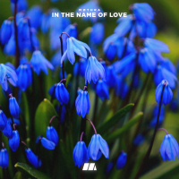 In The Name of Love (Single)