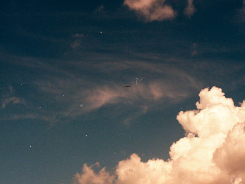 lucky to have (Single)