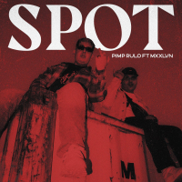 SPOT (Single)