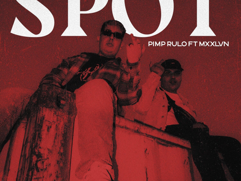 SPOT (Single)