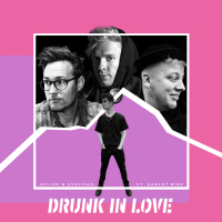 Drunk in Love (feat. Harley Bird) (Single)