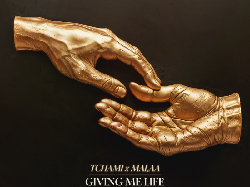 Giving Me Life (TS7 Remix) (Single)