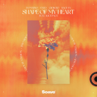 Shape Of My Heart (feat. Alice Pace) (Afro House Version) (Single)