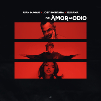Del Amor Al Odio (Single)