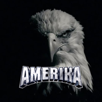 SINNAFLEX Vol.II (Single)