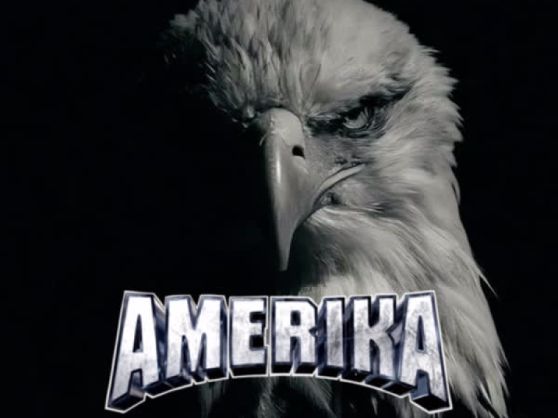 SINNAFLEX Vol.II (Single)